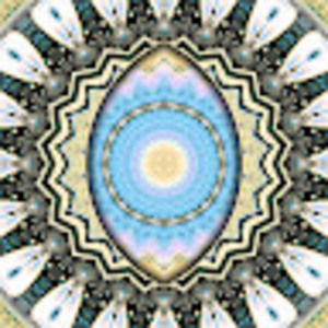 Meet your Posher, T. allen